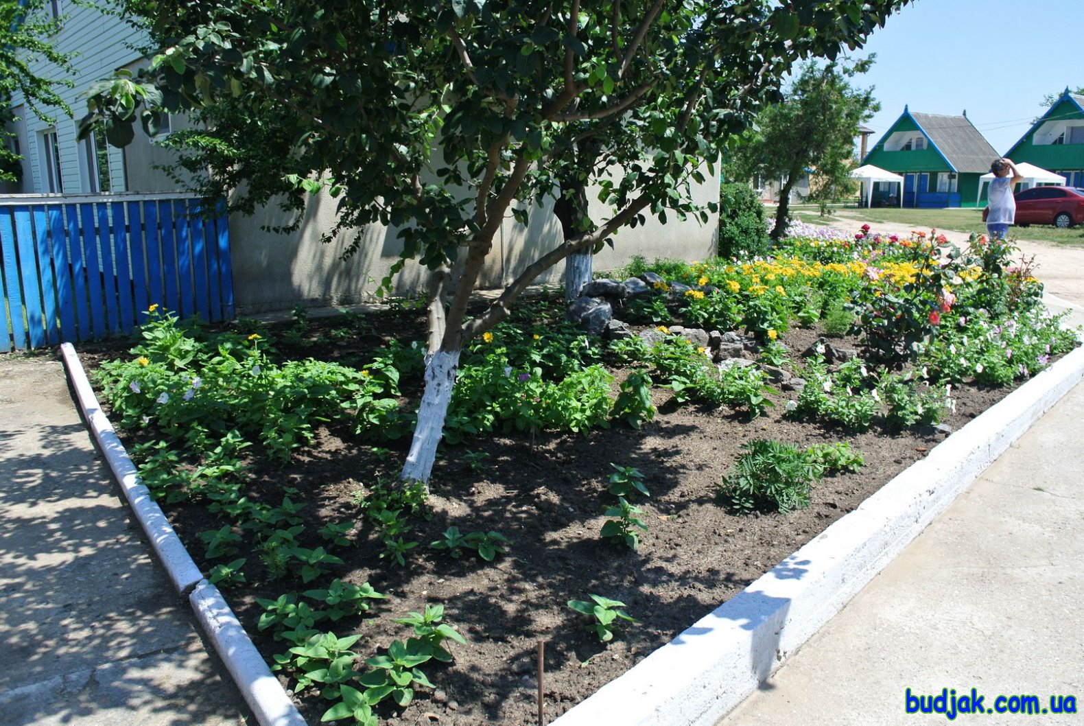 Территория и общие фото. База отдыха «Плай». Курорт Рассейка. Фото № 0541. 2017 год